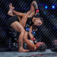 asha roka (@rokaasha) 's Twitter Profile