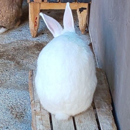 あきママさんのプロフィール画像