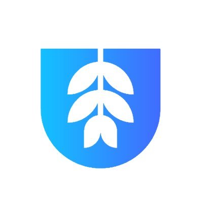 University of Pings Profile