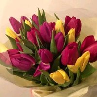 🇮🇶🇮🇶🇮🇶Hussein (@hussein15175088) 's Twitter Profile