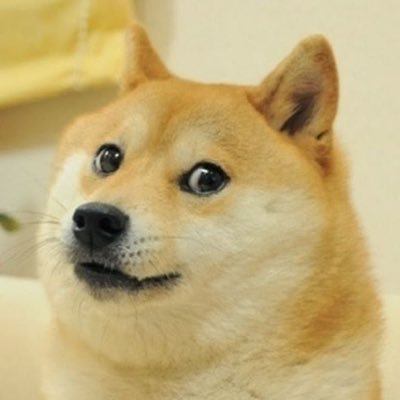 dogeeth2022's profile picture. ETH,doge