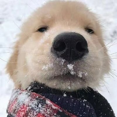 dw35689's profile picture. 