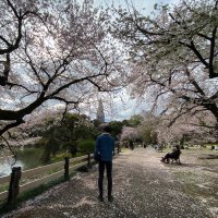 よっくん (@asobitaseisin) 's Twitter Profile Photo