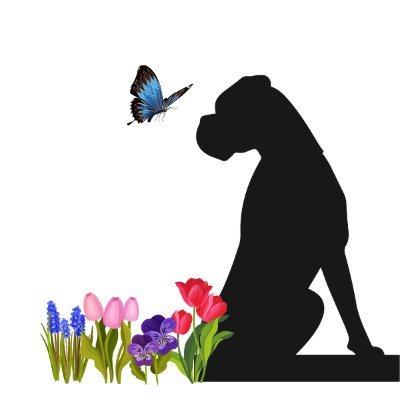 TheBoxerRescue's profile picture. The Boxer Rescue is a 501(c)3 non-profit dog rescue organization in the New England area; primarily focusing on MA, NH, RI and CT.