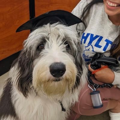 LetAnastasia's profile picture. Not a bot. Just too famous in real life to share out loud how I really feel.