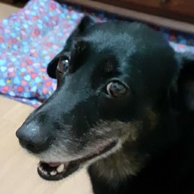 Fontes82660042's profile picture. 