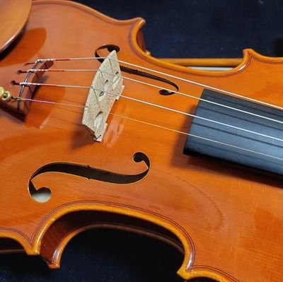 2014年3月からバイオリン始めてる人間の練習とか関連することを徒然と
@yamashinn のバイオリン練習アカウントです。