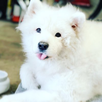 crazyparadise's profile picture. Practice makes perfect