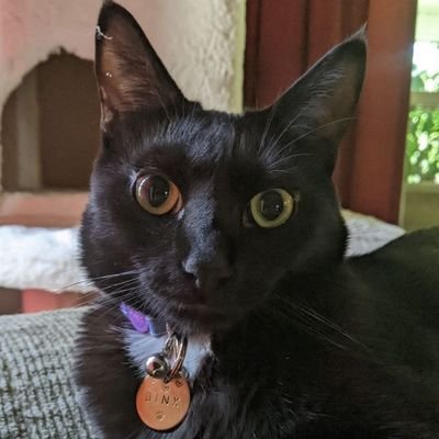 checkyoursleeve's profile picture. // ★ bek/sleeves | 22 | spanish student ★ // autistic language lover & artist longing to return to Spain 🇪🇸 | cat portraits $15 each