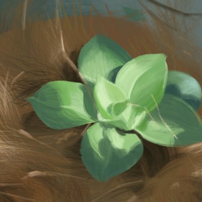 结草烧仙草さんのプロフィール画像