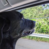 gano01 (@gano_01) 's Twitter Profile