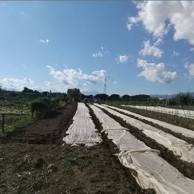 yaoyano_takeshi's profile picture. 神奈川で農業ビジネスに
日々奮闘してます。
さらなるチャレンジ!
取り組んでいきます