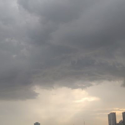 vidya187's profile picture. 