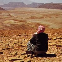قالوا (@hsh_0) 's Twitter Profile