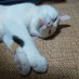 @CMSomnI2NxaTwAB