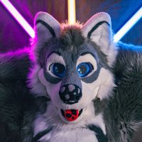 Georgie that silly woof🐾 (@georgie_woofy) Twitter profile photo