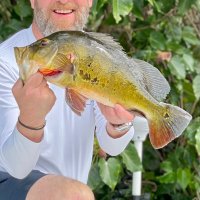 Chuck (@bigbasschuck) 's Twitter Profile Photo