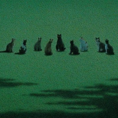 stupid1di0t's profile picture. @glowstickmania priv :D