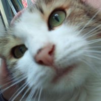 m (@pirasagul) Twitter profile photo