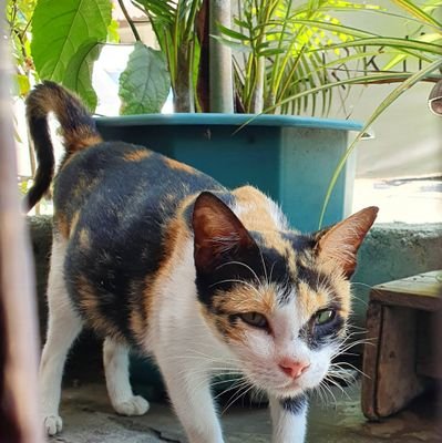 Junjun58741660's profile picture. 