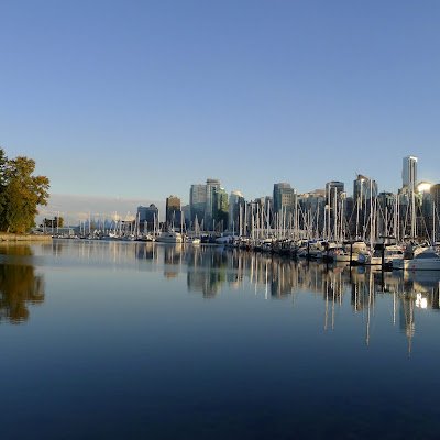 XygamexfCohen's profile picture. 