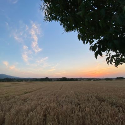 跌跌撞撞 (L,3)🌘OVERWORLD