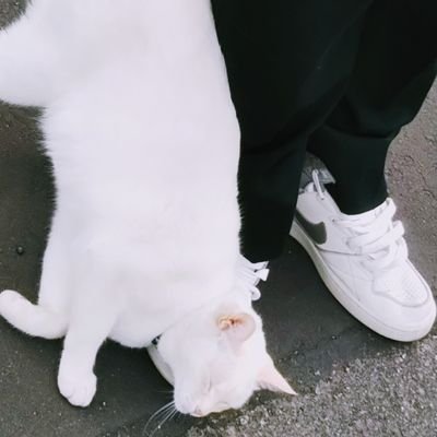 Graphic_98's profile picture. 破裂寸前不可避