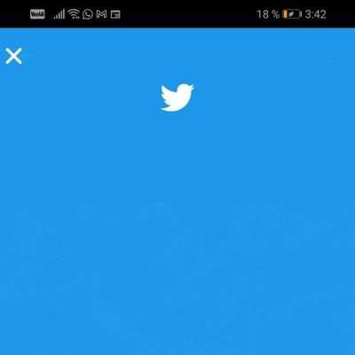 LilaSalda's profile picture. 