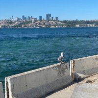 HALİL-34🇹🇷 (@hakan00982881) Twitter profile photo