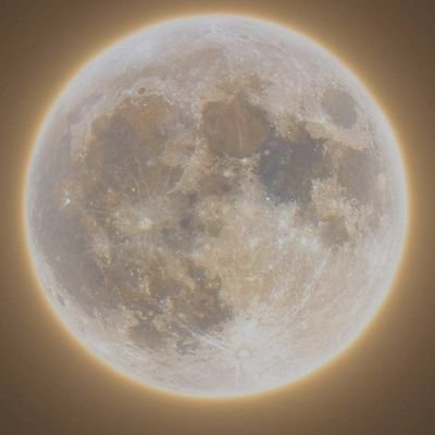 ‏مصري صميم