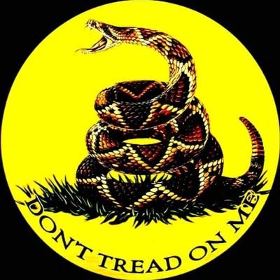 alphajj2000's profile picture. 