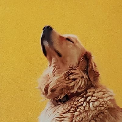Nncsi2's profile picture. eeeeeeeeeeeeeee