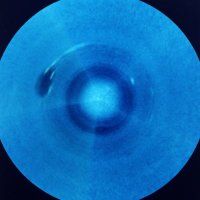 Neptune (@neptune) 's Twitter Profile