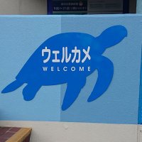 kami2re (@kami2reka) 's Twitter Profile Photo