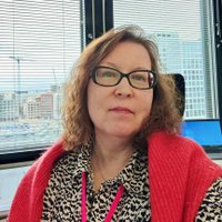 Päivi Ahosola (@ahosolapaivi) 's Twitter Profile