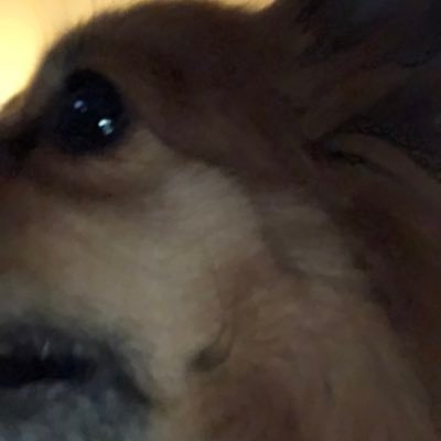 ZombieTR19's profile picture. 