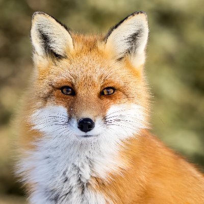 ArtsyBetsyH's profile picture. Hello