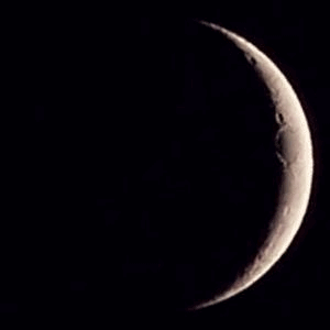 CERES_WNC's profile picture. The Coalition of Earth Religions for Education and Support. We are a broad umbrella group of Earth Religionists in Asheville, NC.

http://t.co/mVPOAHHhSm