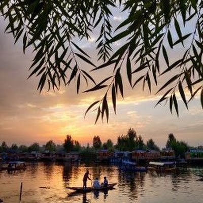 KaurClass10's profile picture. 