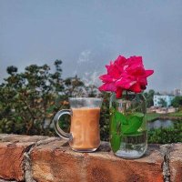 Hasnain Ansari (@hasnainansari69) 's Twitter Profile