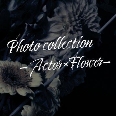 “俳優×花”をテーマにした「Photo Collection -Actor×Flower-」(#花コレ)の公式アカウントです。
撮り下ろし生写真・フォトブック、イベント情報をお届けします。