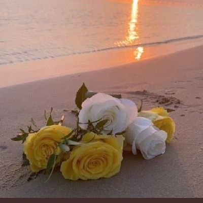 112233mmrrii's profile picture. اللهم إني أسألك حسن الخاتمه.