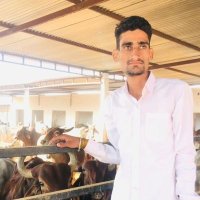 dinesh JAT (@bkudinesh) 's Twitter Profile