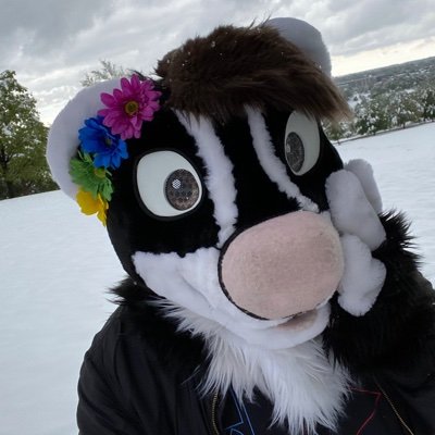 🦨🎀Just a Skunk with a Bow on their tail in Denver🎀🦨

Reh!