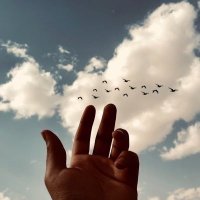 buraikialqarzai (@buraikialqarzai) Twitter profile photo