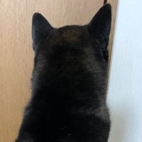 AiAi (@do2jhuehnwqthzj) Twitter profile photo