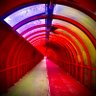 fonecamerawoman's profile picture. Biological Woman wandering with a phone camera
