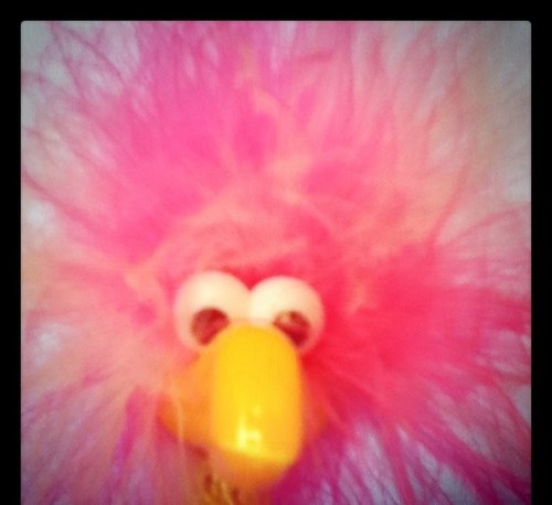 bluebaru's profile picture. 