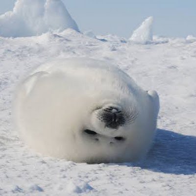 Uoydz8WGSsEVNm6's profile picture. 