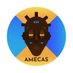 AMECAS (Sorbonne) (@AmecasP1) Twitter profile photo